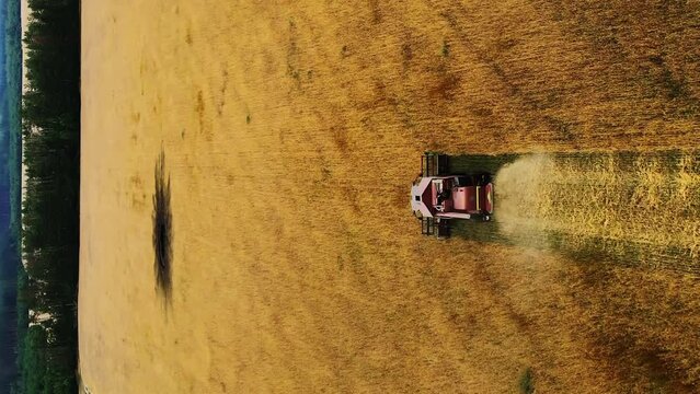 Vertical video wheat harvest field with shell explosion crater. Drone shot flying over combine harvester working on wheat field. Food crisis. War in Ukraine. World food shortage