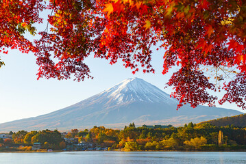 Fuji Mountain and Red Maple Leaves in Autumn, Kawaguchiko Lake, Japan	