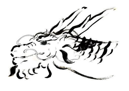 龍　横顔　手描き和風イラスト