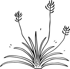 hand drawn plant illustration.