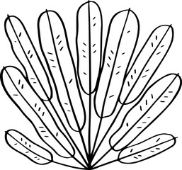 hand drawn plant illustration.