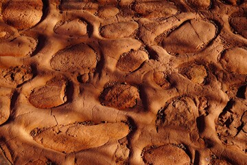 High angle View of a Walking Trail Surface