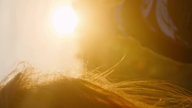 Vertical girl enjoys rays of sun rays around her palm, woman moving hand smoothly in air sunlight penetrates between fingers