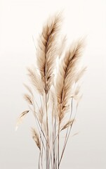 Fototapeta premium Pampas grass on the white background created with Generative AI technology