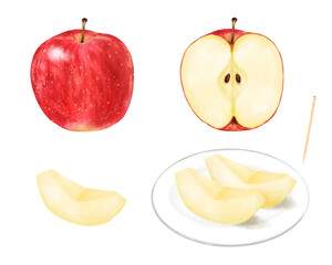 A whole red apple, half an apple and a wedge of an apple, painted in digital watercolor