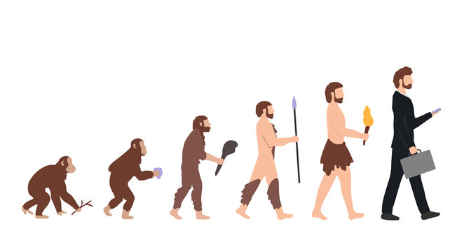 human evolution different stage illustration white back ground