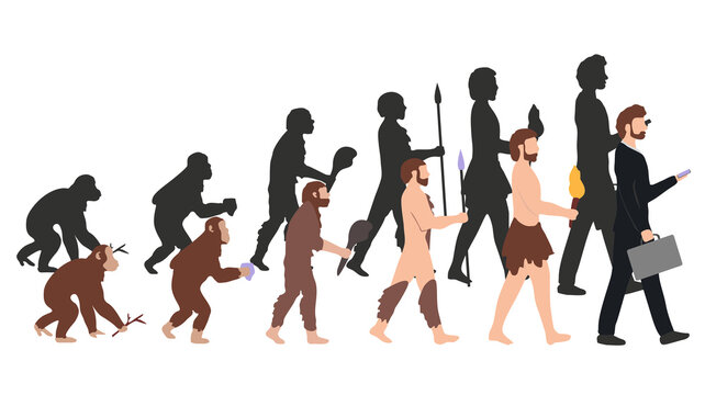human evolution different stage illustration white back ground
