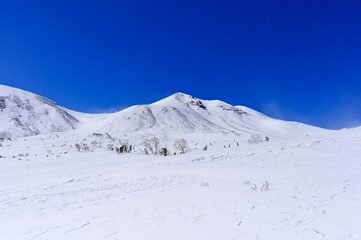 Fototapeta na wymiar 2月の乗鞍岳