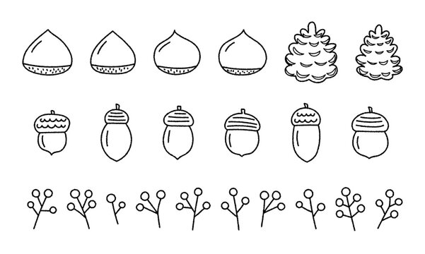 秋の植物の手書き線画ベクターイラストセット／どんぐり・くり・まつぼっくり・赤い実