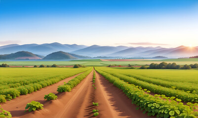 Landscape farm with Strawberry field in the morning, a beautiful summer garden with a strawberry meadow and sunset. Berry Cultivation Farming Illustration. Ripe Strawberries, Fruits Harvest