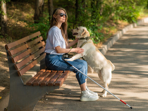 Blind young woman cuddling with guide dog while sitting on a bench. 