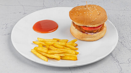 horizontal close-up shot of a burger with fries placed in a white plate with tomato sauce on textured background