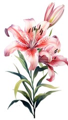 watercolor lily isolated on white, AI Generated