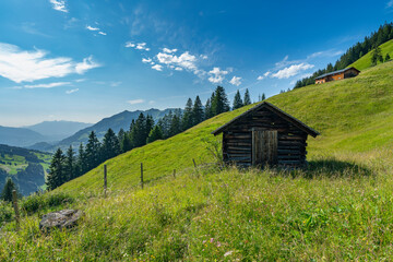 Alpine Bauernhöfe auf grünen Blumenwiesen zwischen steilen Bergen in den Alpen Österreichs. schöne Aussicht mit Blumen auf Weiden und Wäldern. Dreistufige Alpwirtschaft im Großen Walsertal