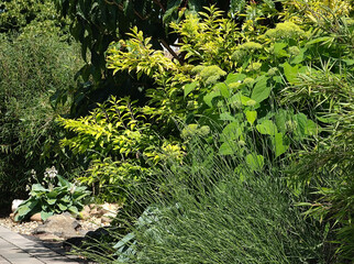european floral design at the sunny garden terrace