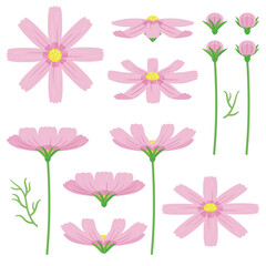 ピンクのコスモスセット1