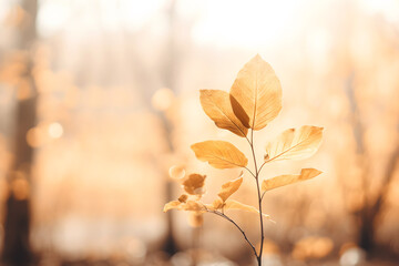 Moody autumn background - tree branch with brown autumn leaves in the sun and blurred trees. Retro...