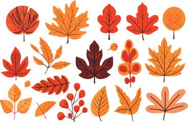 autumn leaves collection, set of leaves, leaves collection