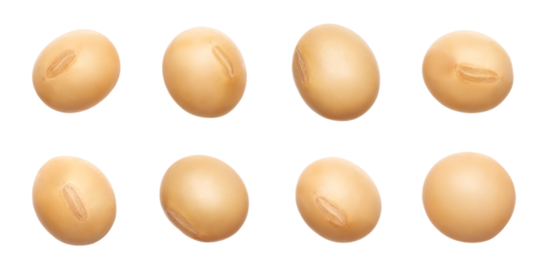 Different angle of individual soybean isolated