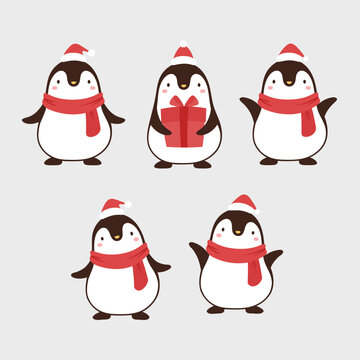 cute penguin vector white background