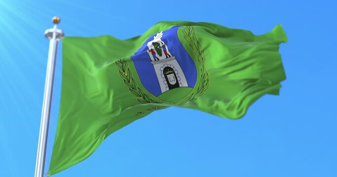 Flag of Baranya County, Hungary. Loop