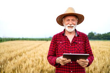 Man standing in the field and using smart farming application on digital tablet managing crops production and growth.