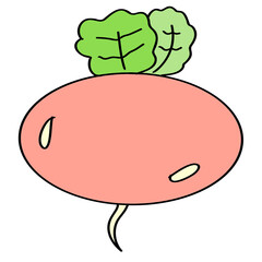 Vegetable