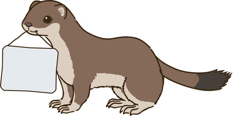 メッセージボードをくわえるオコジョ（夏毛）