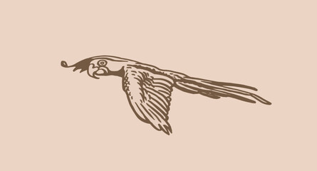 Fototapeta premium Graphical sketch of parrot on sepia background,vector element of bird.Ink pen parrot
