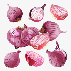 cartoon onion set vector illustration
