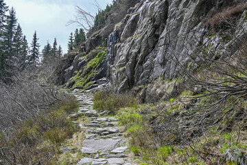 Wanderung von Spindlermühle zur Elbebaude nahe Elbequelle