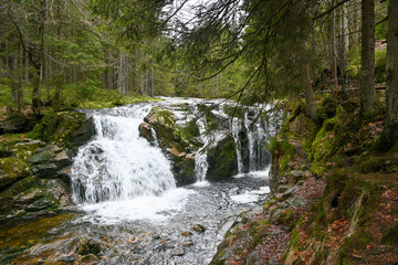 Fototapeta premium Wanderung von Spindlermühle zur Elbebaude nahe Elbequelle