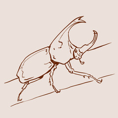 bug isolated on white vector for card illustration background