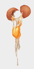 vector illustration of breaking an egg, melted egg dripping down