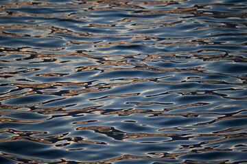 Sunset light water reflexions before night