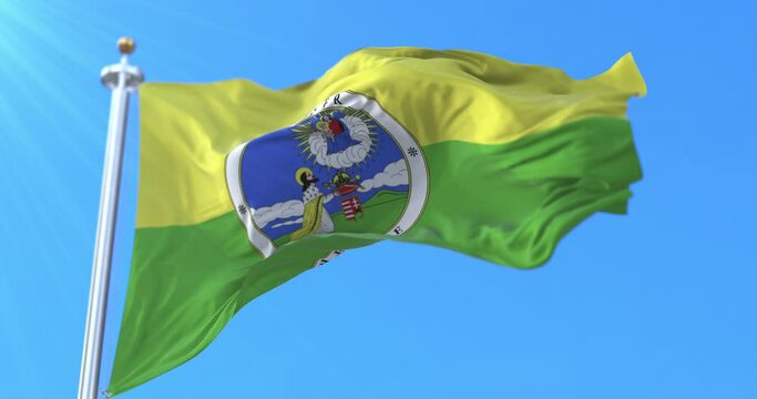 Flag of Fejer County, Hungary. Loop