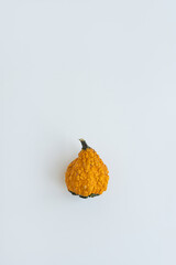 Small decorative pumpkin on white background. Autumn, fall, thanksgiving or halloween concept. Copy space