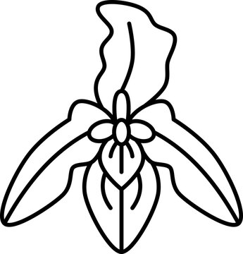 orchids  icon