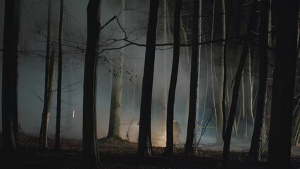 Far view of two male detectives working on restricted crime scene in night woods. Police line tape, forensic experts working, low-flying drone, mist. Spooky forest, mysterious atmosphere