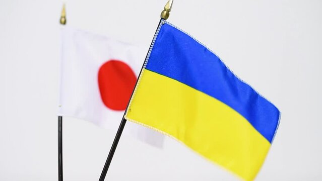 A flag waving in the wind