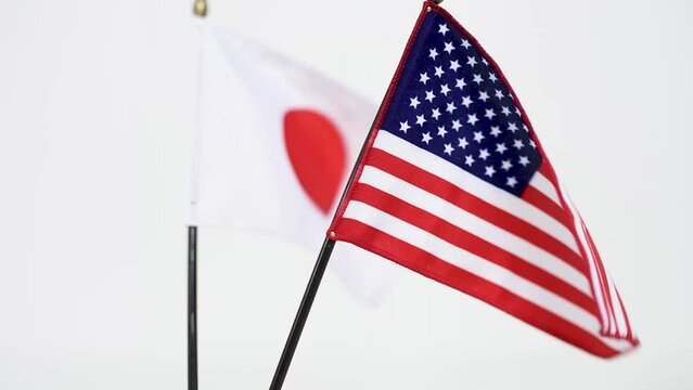 A flag waving in the wind