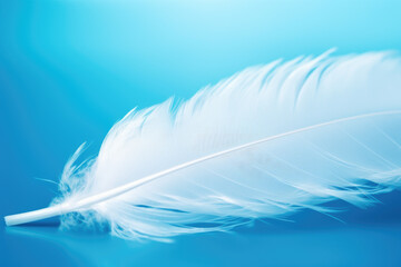White light soft feather close-up on blue background. Generative ai