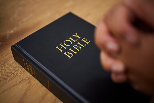 Bible, hands and woman in prayer in home, lounge and reading book of faith, religion and worship study for mindfulness. Person, praying and studying holy book for peace, praise and meditation