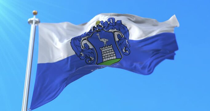 Flag of Vas County, Hungary. Loop
