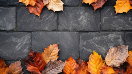 Beautiful autumn leaves lie on the paving slab