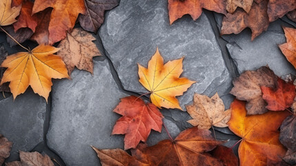 Obraz premium Beautiful autumn leaves lie on the paving slab