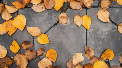 Beautiful autumn leaves lie on the paving slab
