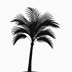 palm tree silhouette vector
