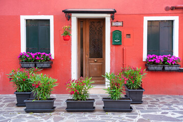 Fototapeta na wymiar Detail with a colorful house entrance with lots of flower pots in Burano, Italy.