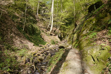 Ruppertsklamm im Westerwald am Rheinsteig